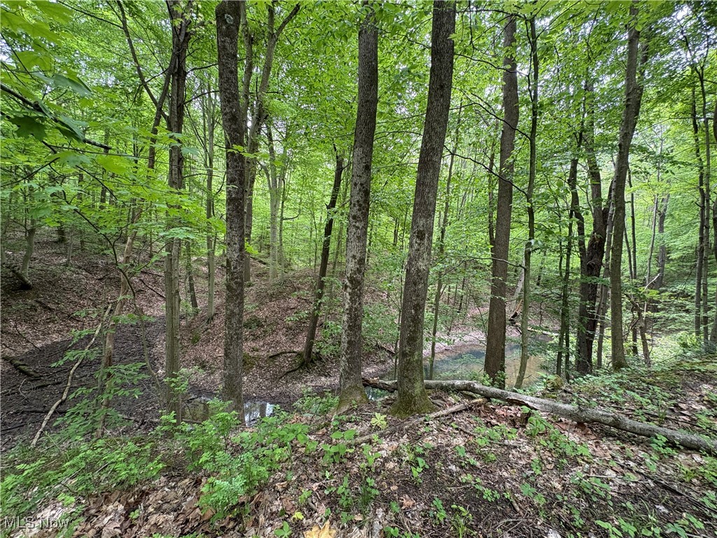 Granger Hill Road, Zanesville, Ohio image 8