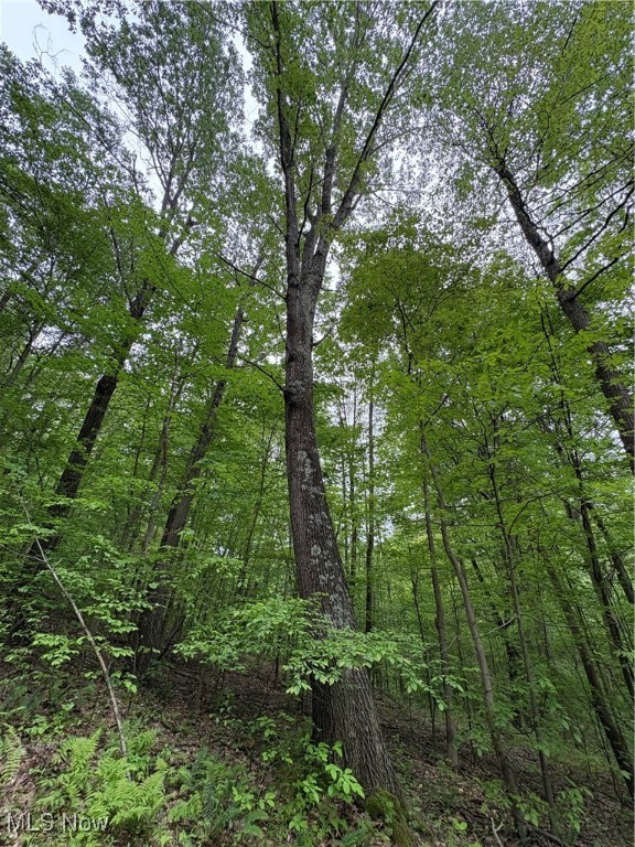 Granger Hill Road, Zanesville, Ohio image 30