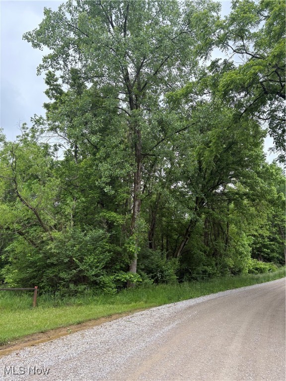 Granger Hill Road, Zanesville, Ohio image 33