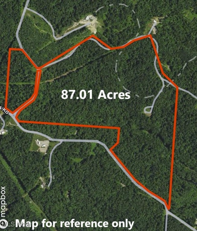 Granger Hill Road, Zanesville, Ohio image 34