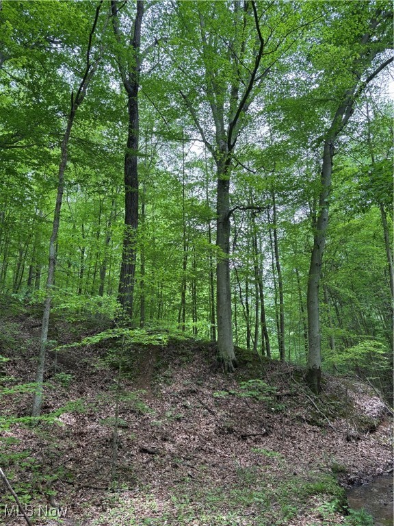 Granger Hill Road, Zanesville, Ohio image 20