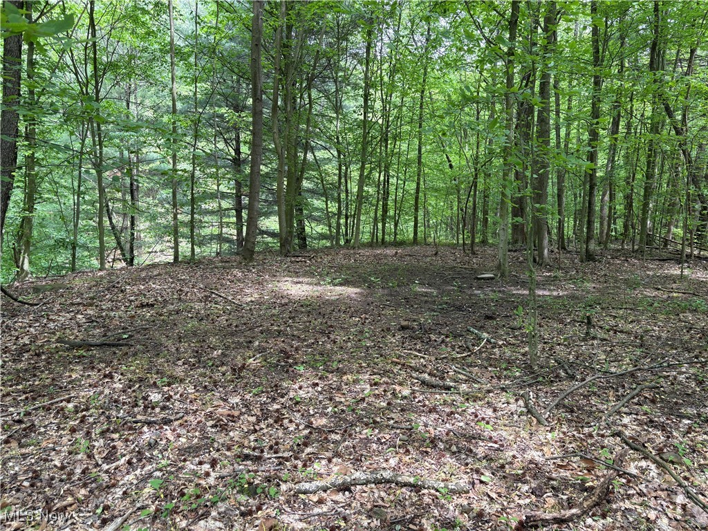 Granger Hill Road, Zanesville, Ohio image 15