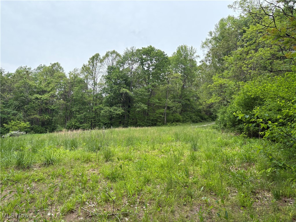 Granger Hill Road, Zanesville, Ohio image 2