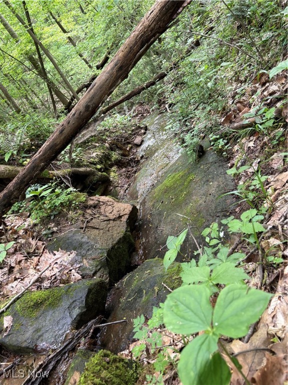 Granger Hill Road, Zanesville, Ohio image 3