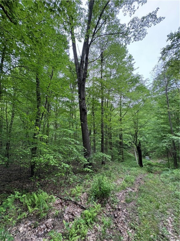 Granger Hill Road, Zanesville, Ohio image 29