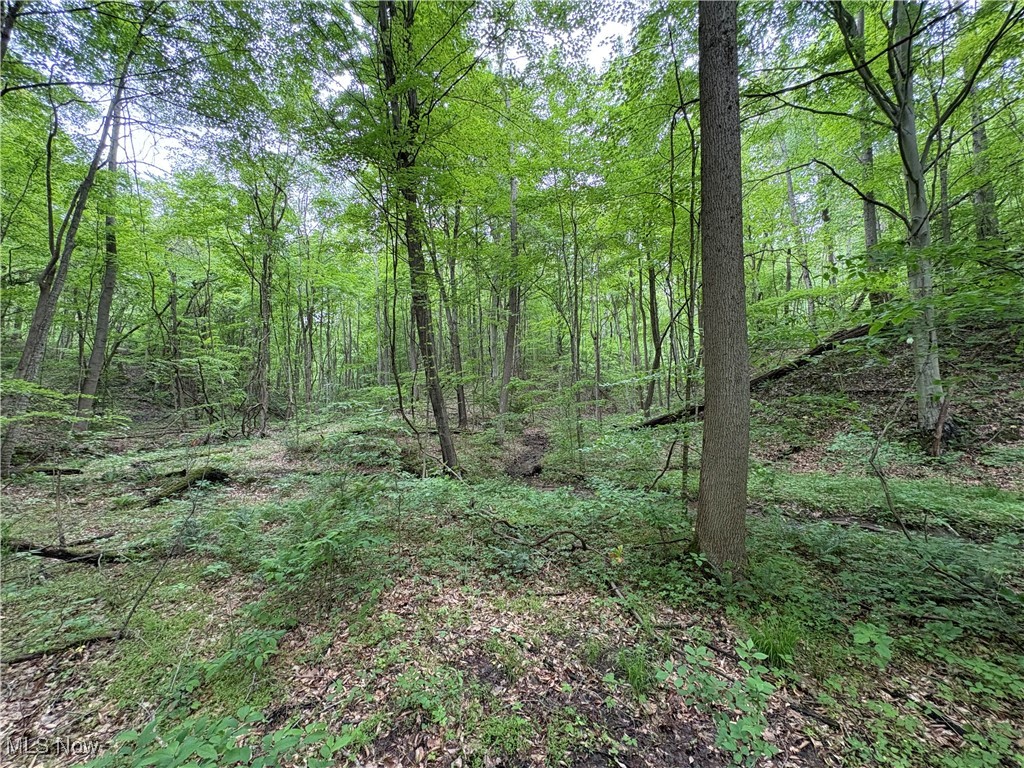 Granger Hill Road, Zanesville, Ohio image 24