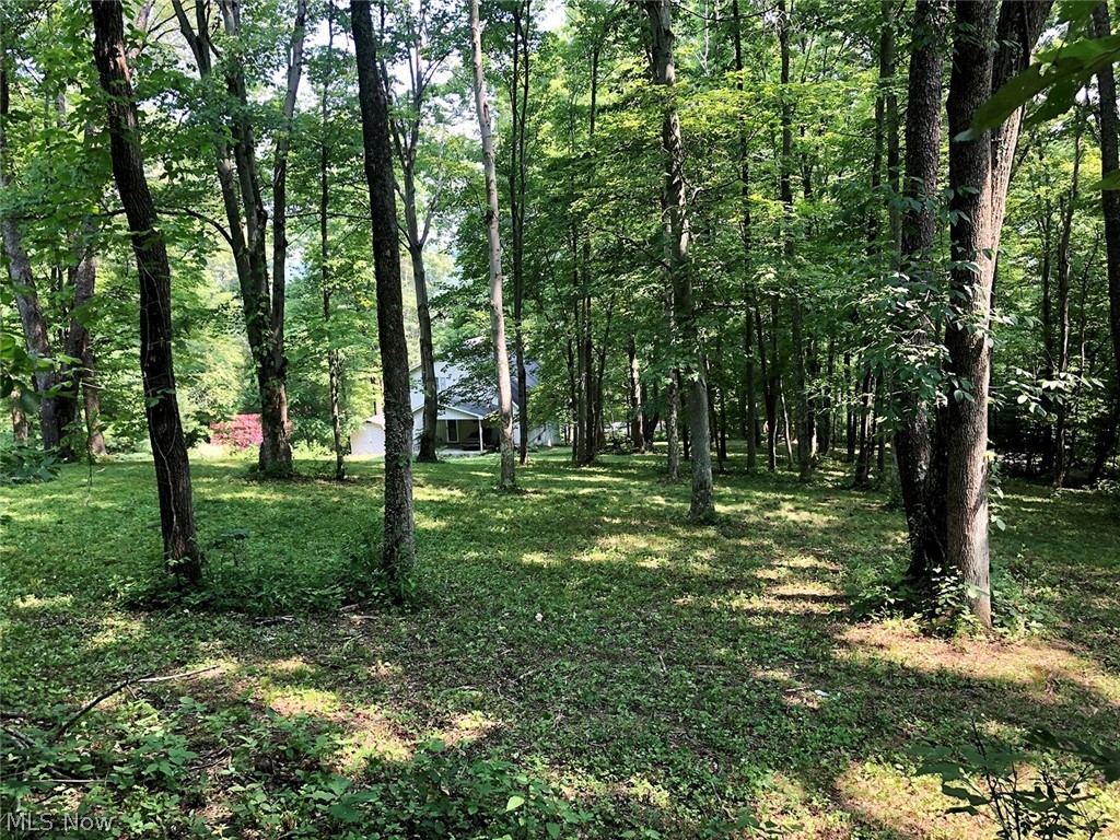 Rockwood Park - Residential