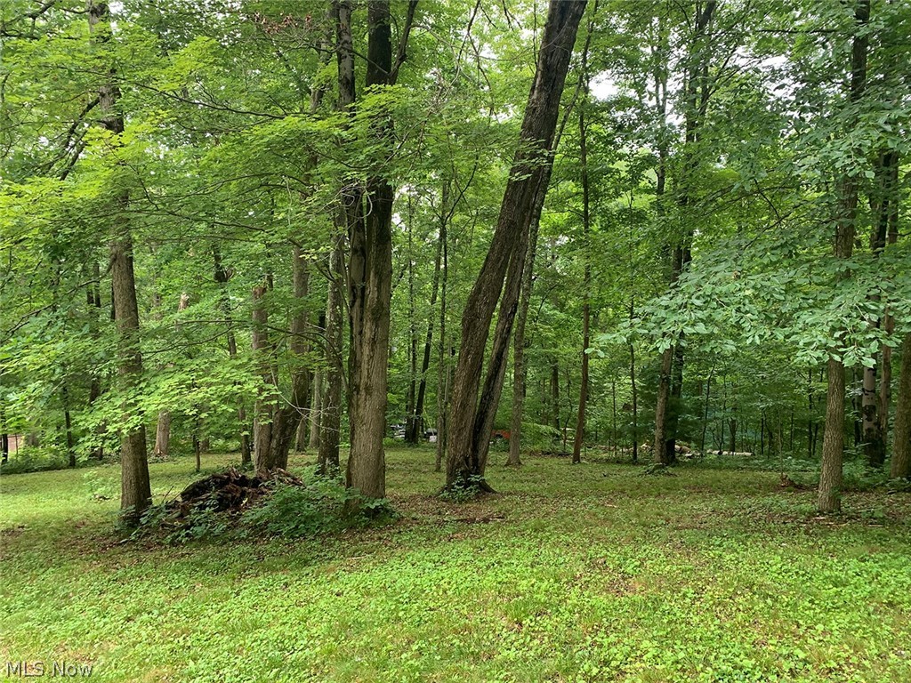 Rockwood Park - Residential