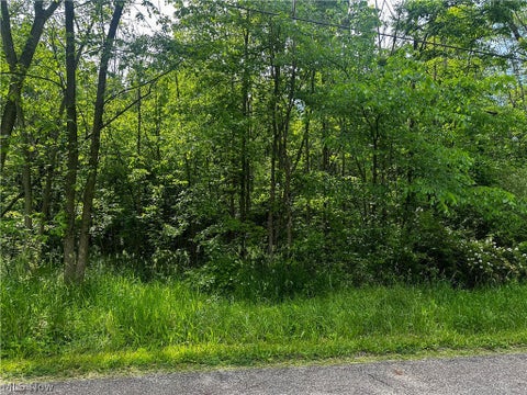 Vacant Land For Sale - 2375 Howland Wilson Road<br/> Cortland, OH 44410