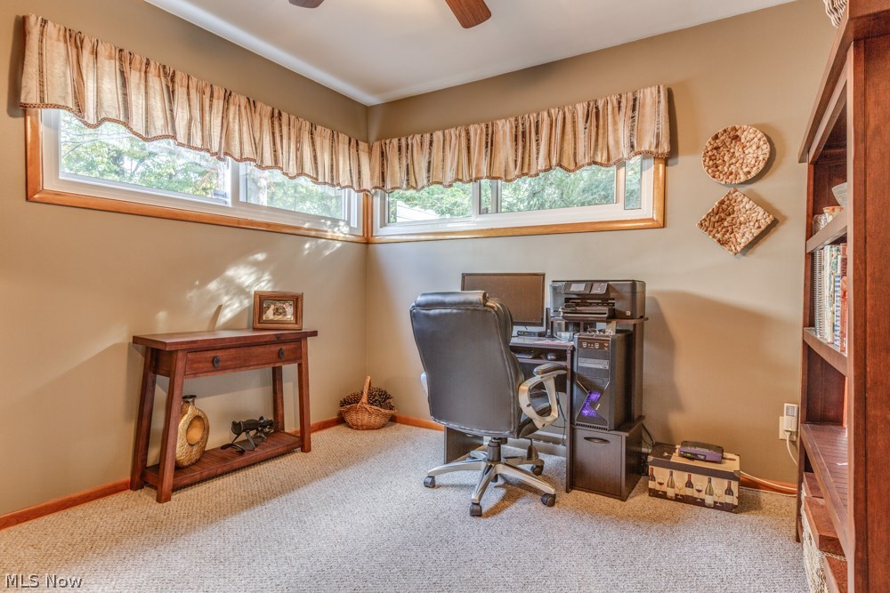 Milan S Kapels Braeburn Park Su - Residential