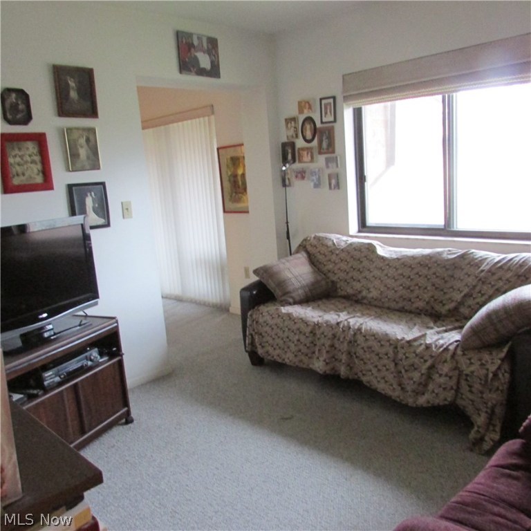 Woodhawk Club Condo - Residential