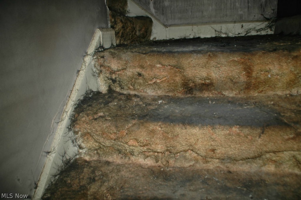 Forest View - Residential