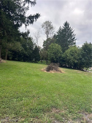 1308 SUNRISE AVE, ZANESVILLE, OH 43701 - Image b8451dd1b4cc41a932ebf92bd4dacd8a/3590111471