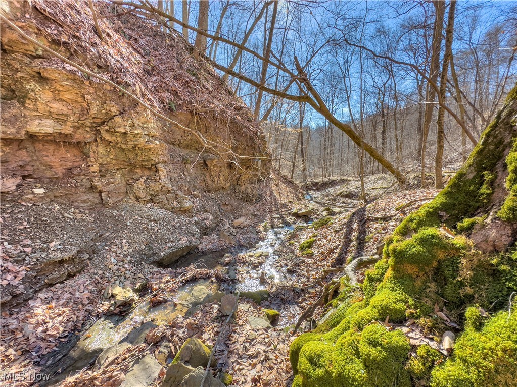 47562 Pratts Run Road, Clarington, Ohio image 30