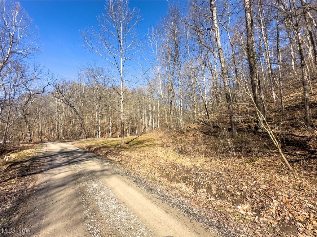 47562 Pratts Run Road, Clarington, Ohio image 19