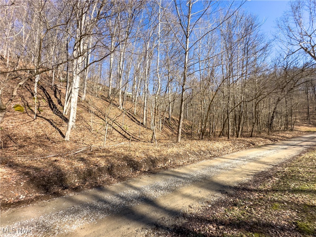 47562 Pratts Run Road, Clarington, Ohio image 17