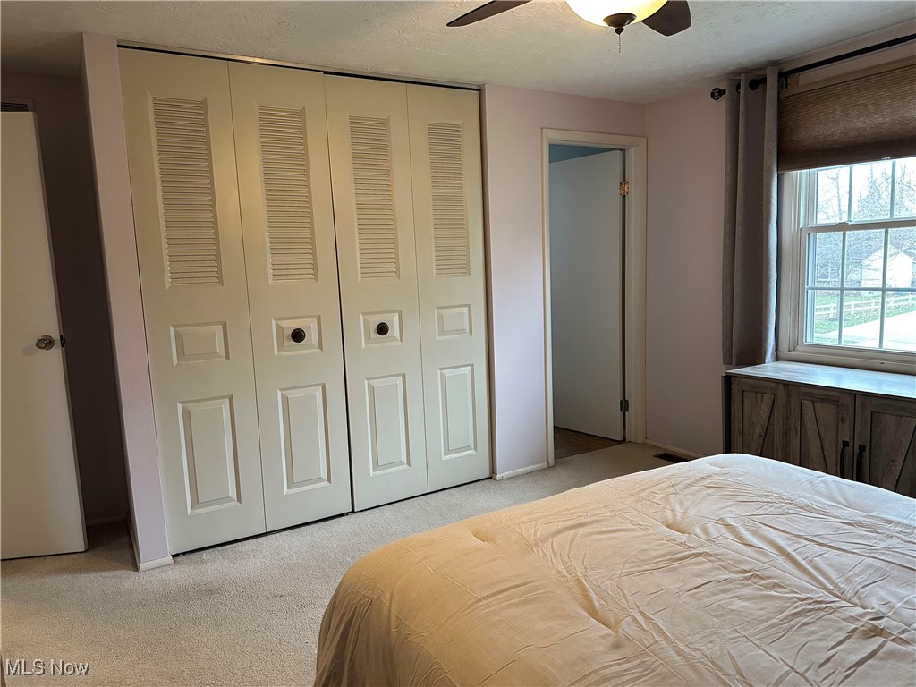 Meadows - Residential