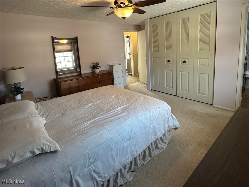 Meadows - Residential