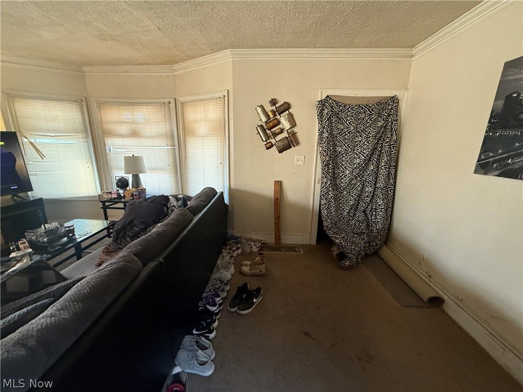 Photo of 3377 E 132nd Street, Cleveland, OH 44120 (MLS # 5209243)
