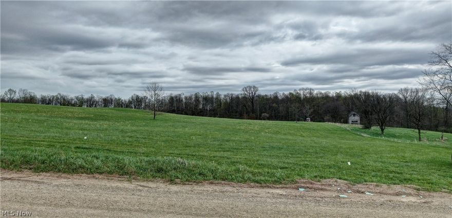 Excellent 10.23-acre tract located in northern Guernsey County, offering a great opportunity for a mini farm, recreational use, or future homesite. The property is primarily open ground with a small sliver of wooded acreage along the rear, providing a nice balance of usability and cover for wildlife. The layout and topography lend themselves well to a variety of uses, including hobby farming or hunting. Seller believes mineral rights are owned and will transfer.