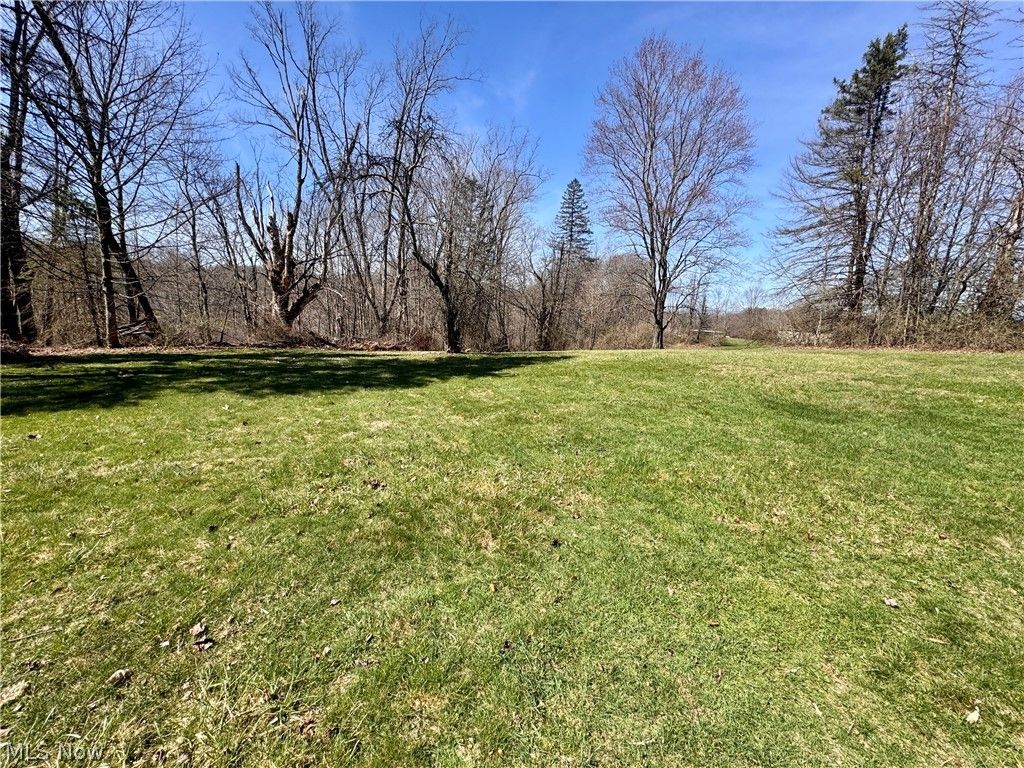 Photo of 11685 Mills Road, Garrettsville, OH 44231 (MLS # 5195496)