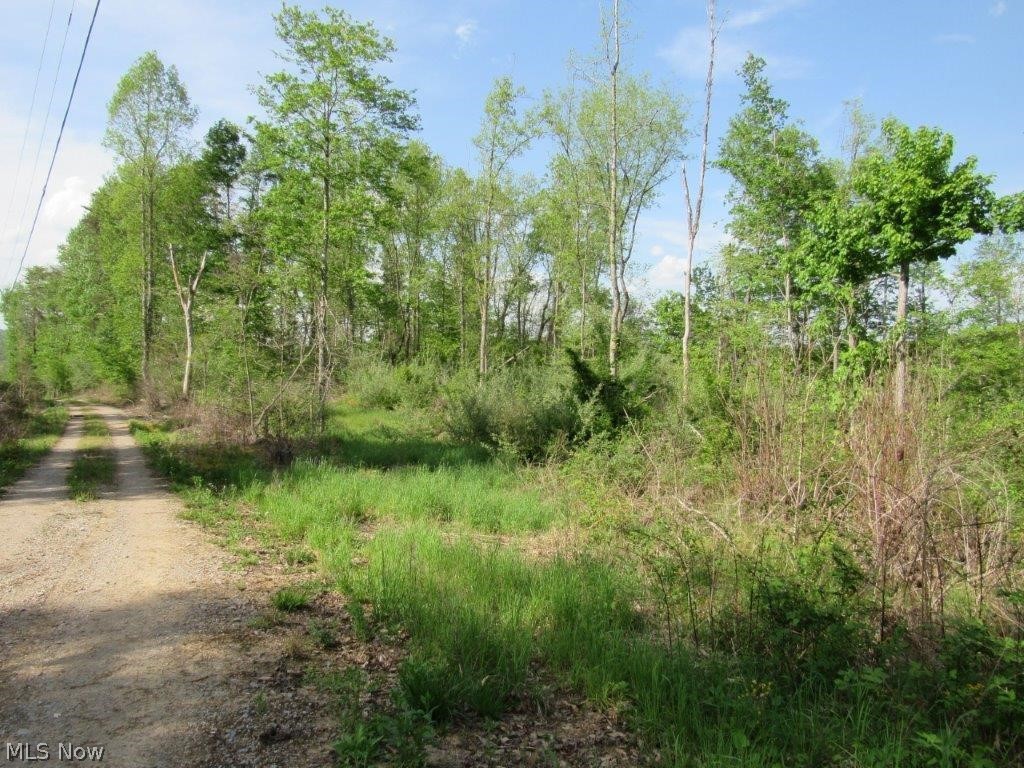 77.59 Surveyed Acres. Mostly wooded property. Excellent for development or hunting. Gravel driveway into property. Great area for riding ATV's or enjoying wildlife. Great views. Close to Wallback Wildlife area. Areas for building or a cabin. 5 minute drive to I-79, Wallback Exit 34