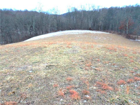 Vacant Land For Sale - Moore Ridge<br/> Monroe County, Jerusalem, OH 43747