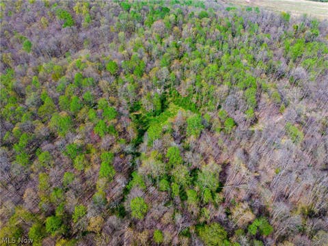 Vacant Land For Sale - Us Route  36<br/> Warsaw, OH 43844