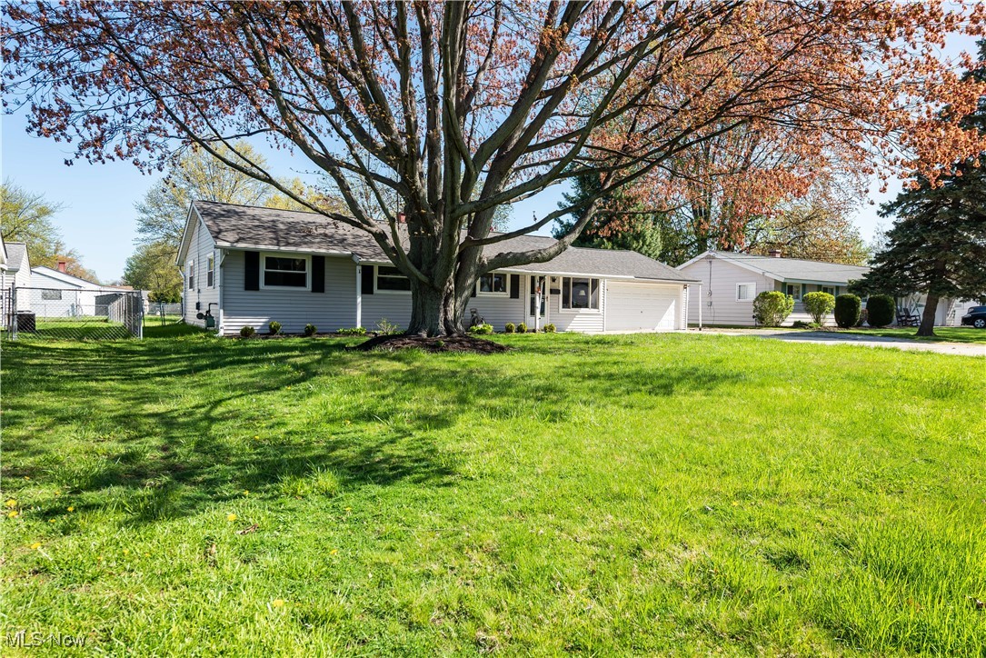7275 Eric Drive, Mentor, Ohio image 3