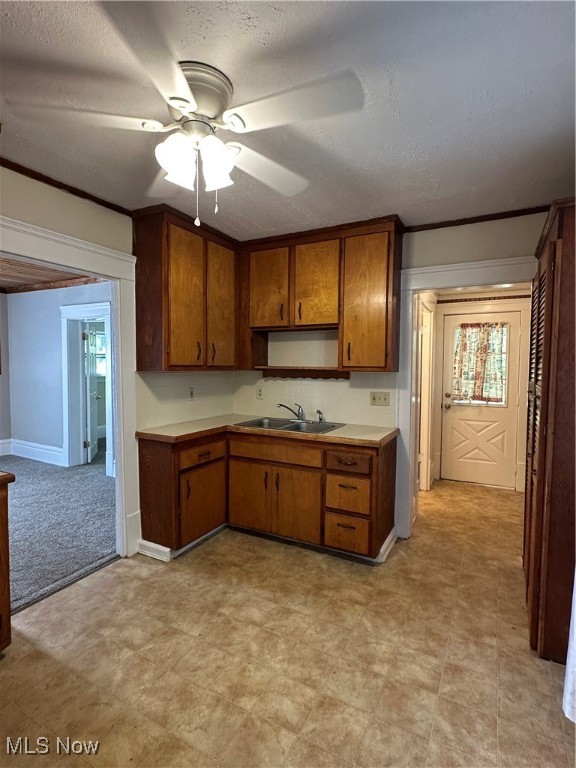 Kenmore Allotment - Residential