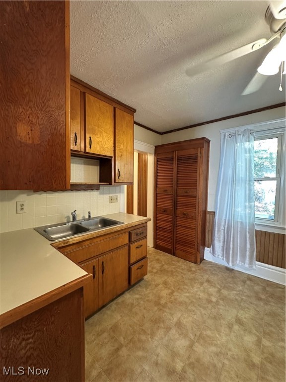 Kenmore Allotment - Residential