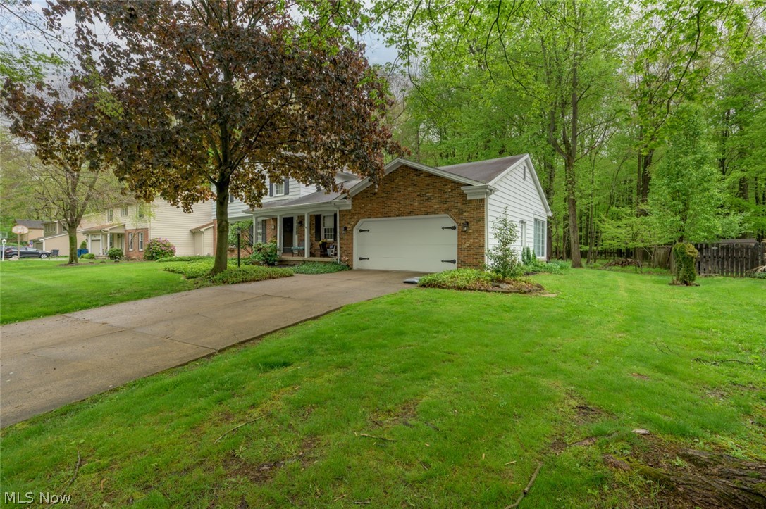 Hitchcock Woods - Residential