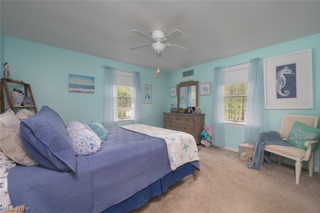 Hitchcock Woods - Residential