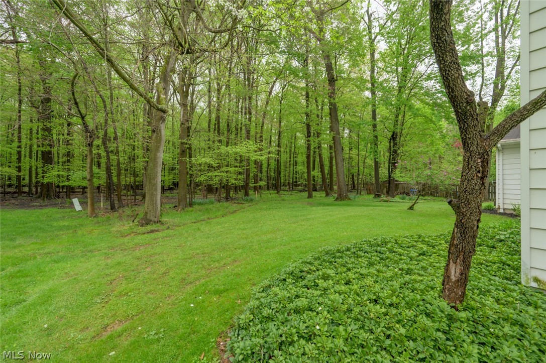 Hitchcock Woods - Residential