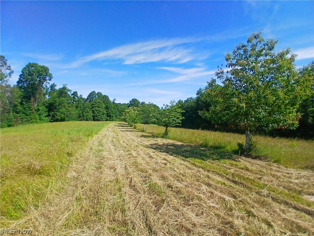 868 Township Road 278