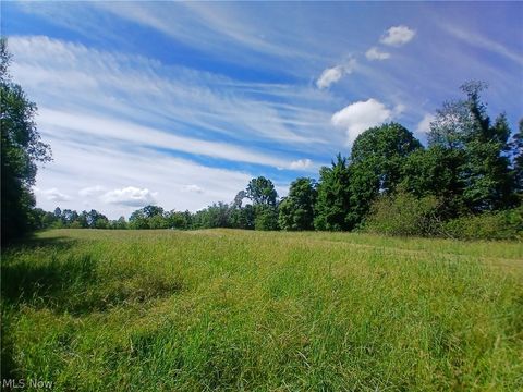 Vacant Land For Sale - 868 Township Road 278<br/> Bergholz, OH 43908