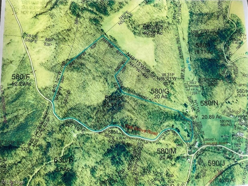 65 Acres +/- in Walker, WV. Beginning of Oak Grove Road, over 2000 feet road frontage, excellent home site or hunting cabin site, great hunting, good timber in 10 years or less and walnut trees, 1/2 mineral rights with 55 acres, 100% mineral rights with 10 acres, all surface rights, adjacent to public hunting grounds (Wesvaco), old water well, collapsed barn and house on site use caution.