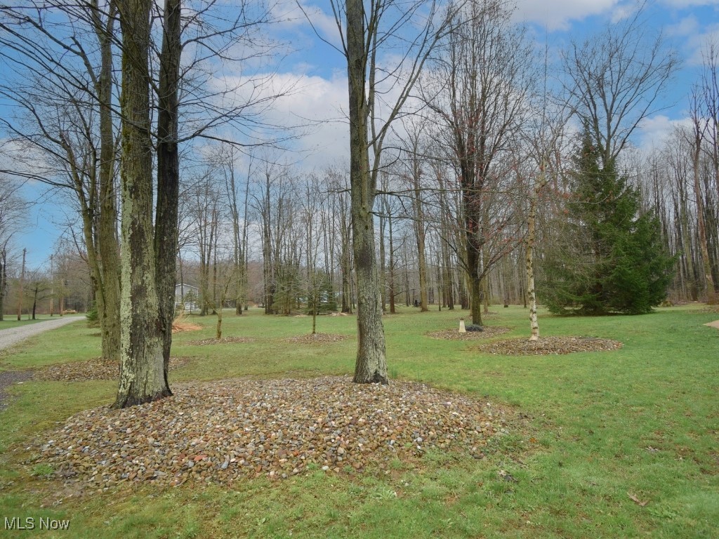 3945 Wheeler Creek Road, Geneva, Ohio image 46