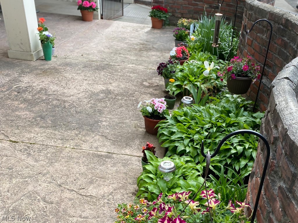 Georgetown Condo - Residential