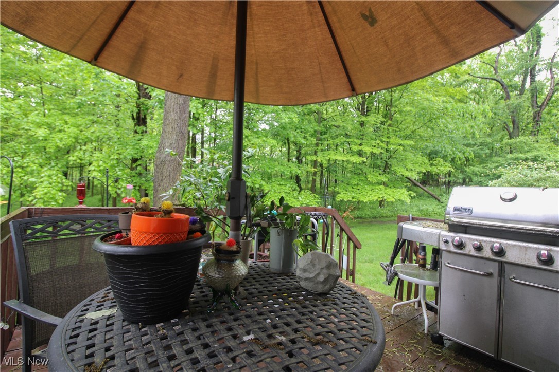 4321 Devonshire Drive, Youngstown, Ohio image 28