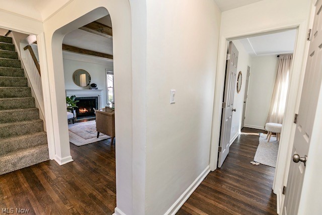 Forest View - Residential