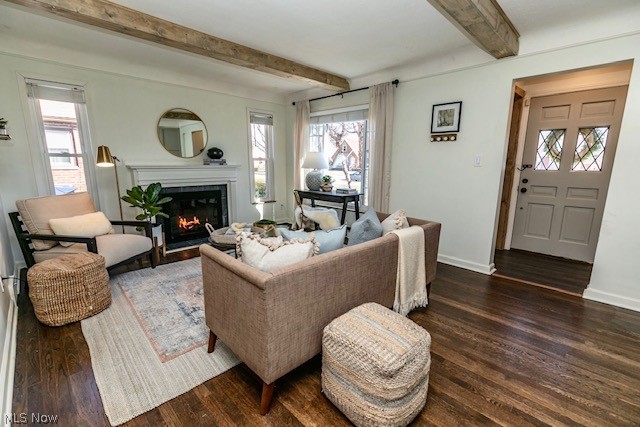 Forest View - Residential