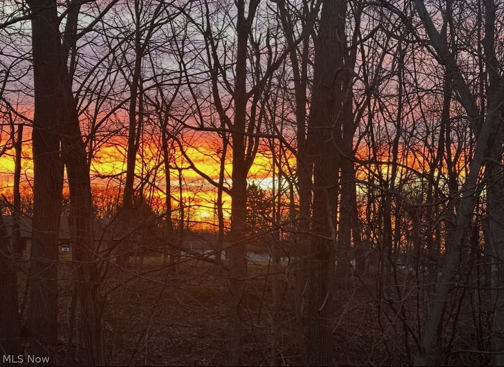 Arbor Park Condo - Residential