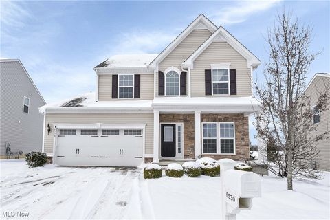 Tiny photo for 6530 Wisteria Lane, Medina, OH 44256 (MLS # 5177531)