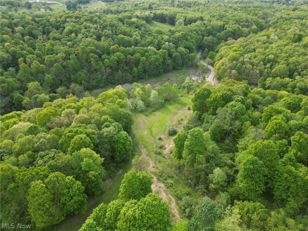 Kragel Road, Wintersville, Ohio image 4