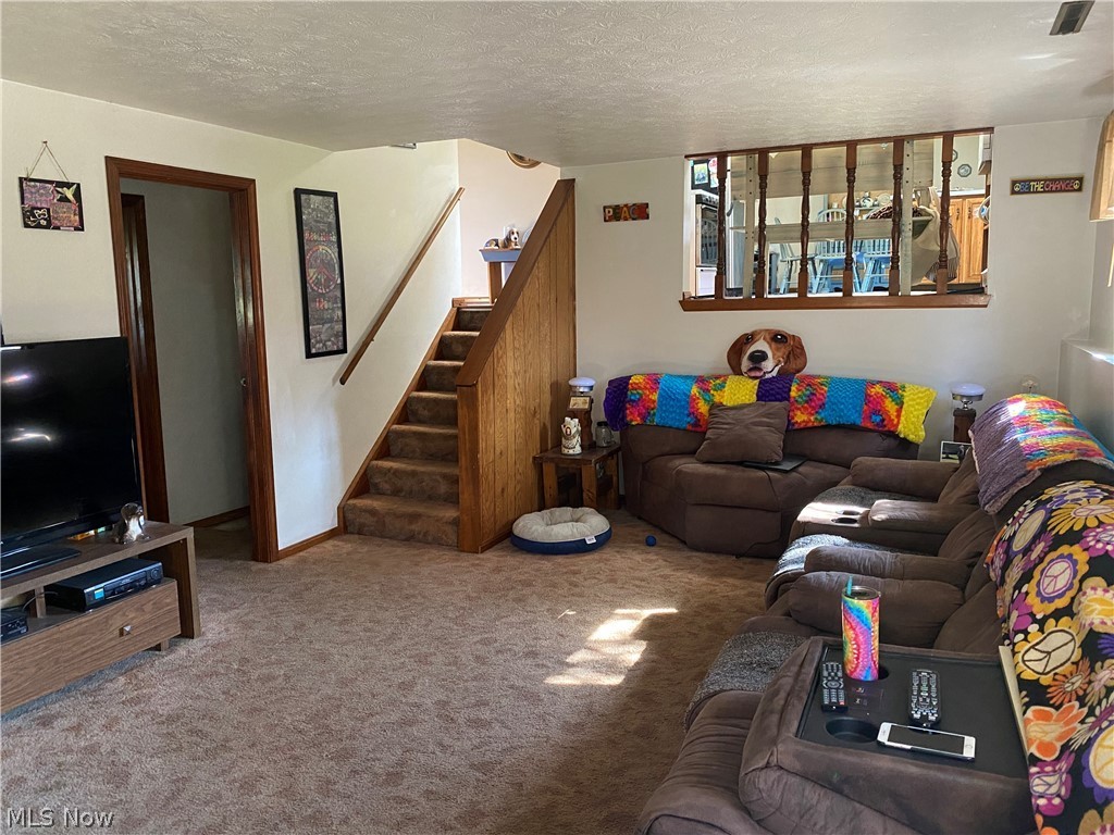 Mary Fenn Acres - Residential