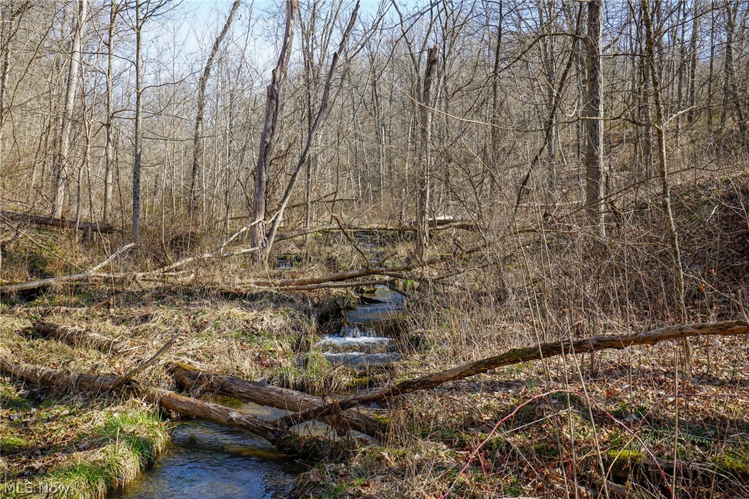 York Rd, Adena, Ohio image 35