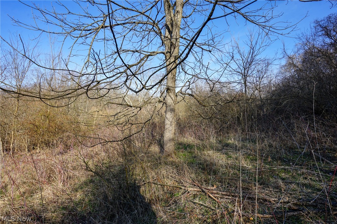 York Rd, Adena, Ohio image 9