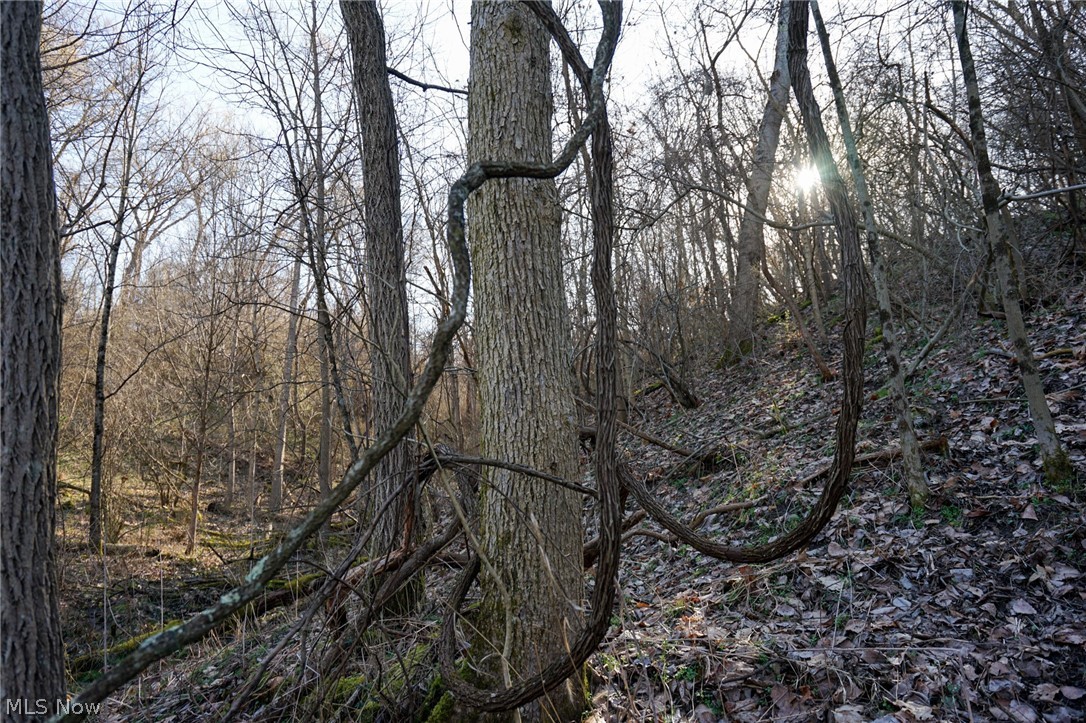 York Rd, Adena, Ohio image 7