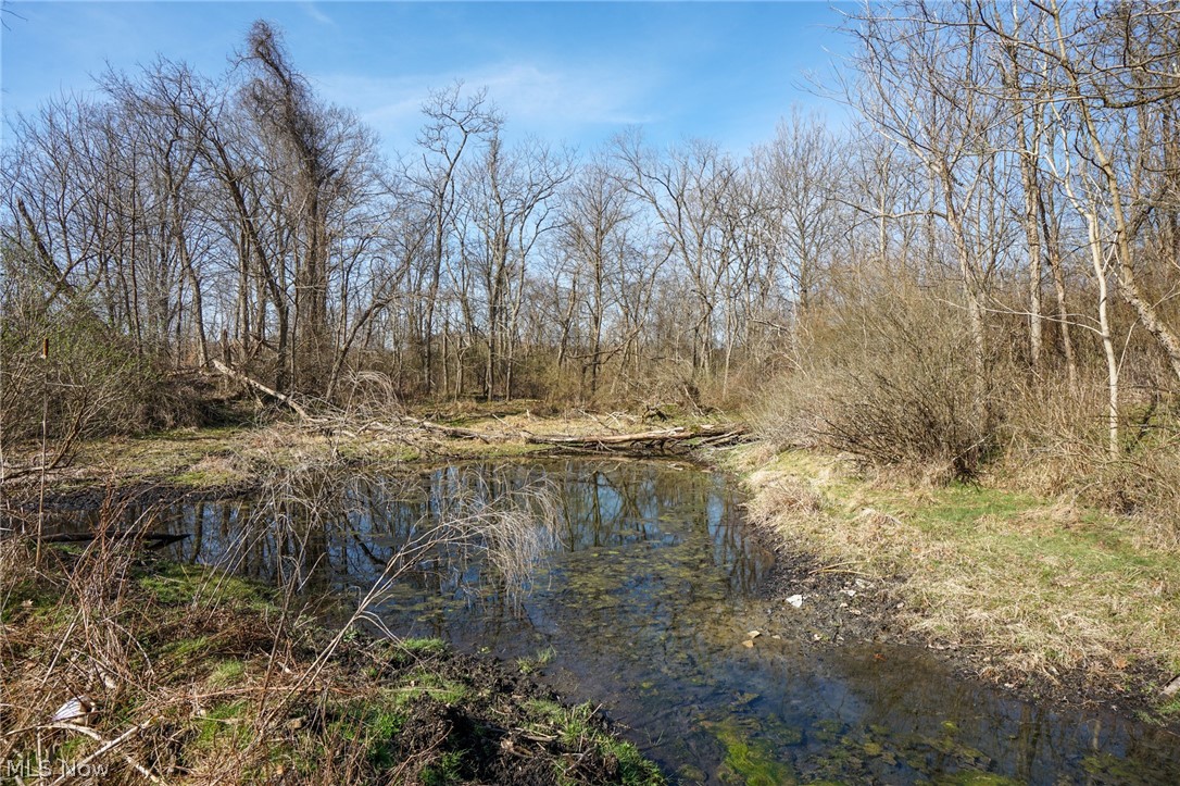 York Rd, Adena, Ohio image 45